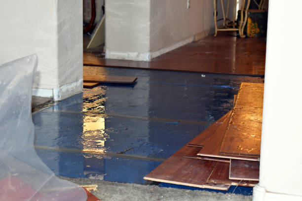 Professional Basement Flood Cleanup technician working in York, ME